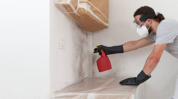 Professional Attic Mold Removal technician working in Four Oaks, NC
