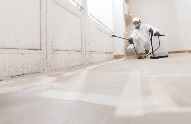 24/7 Emergency Attic Mold Removal experts in Four Oaks, NC