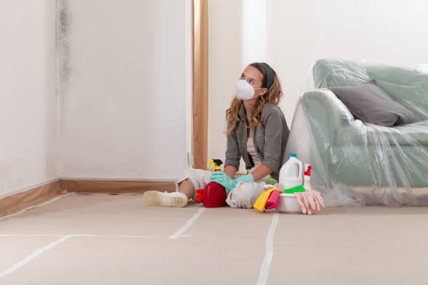 Reliable Attic Mold Removal contractor in Four Oaks, NC by WQB Mold Removal